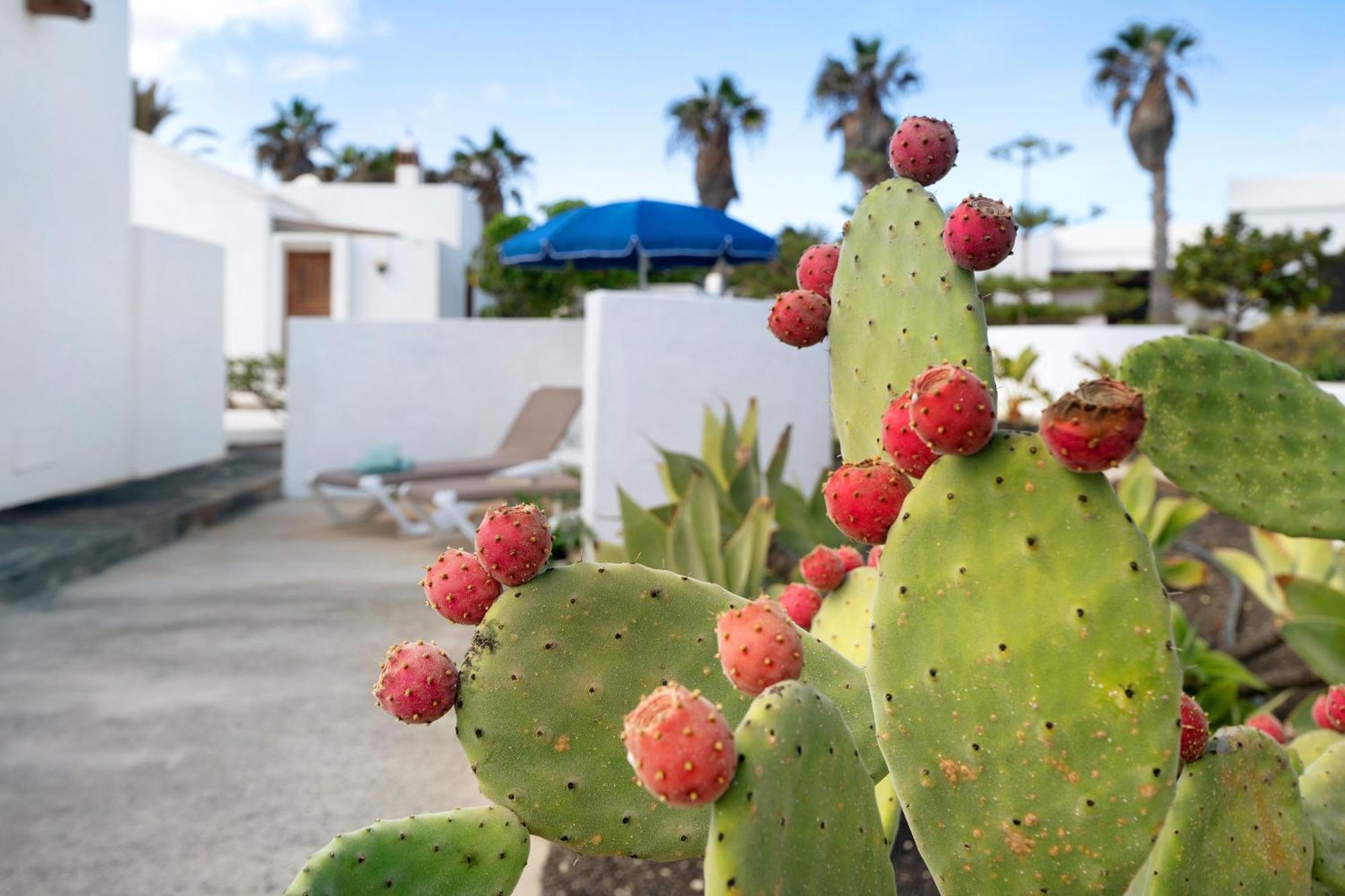 Casa Aloe Villa Haría Dış mekan fotoğraf